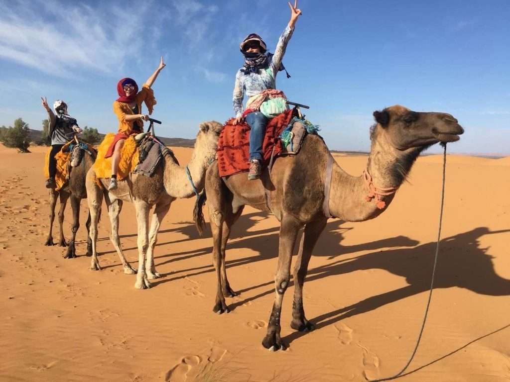 Ride Camels, Morocco Best Sahara Tours