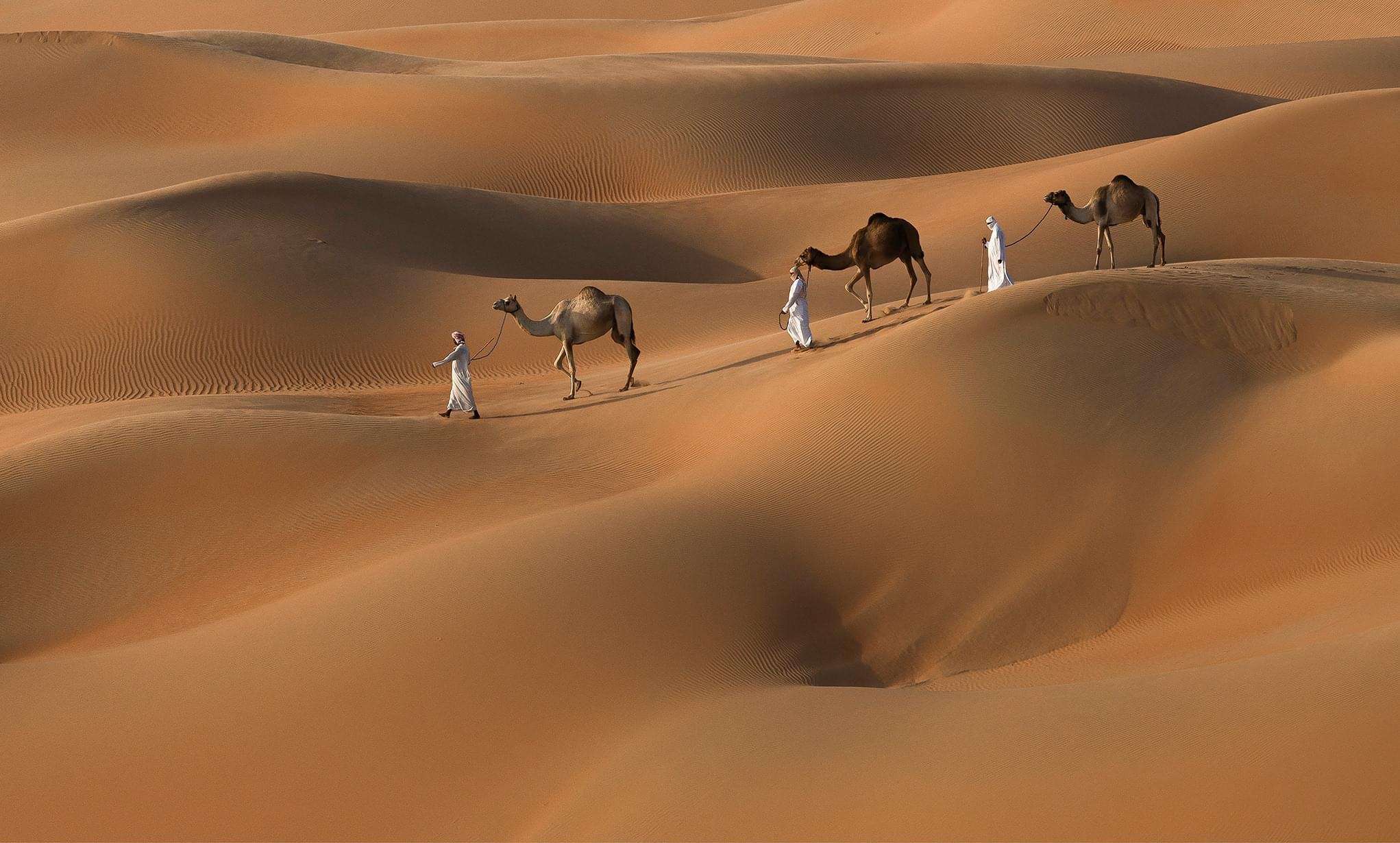 Morocco best sahara tours, Tours in desert, Morocco desert tour