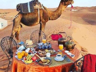 Morocco Best Sahara Tours, morocco desert tour, 14 Days Tour From Casablanca & Sahara Desert