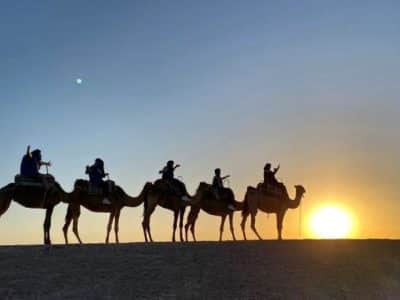 Morocco best sahara tours, ride camel, Marrakech to Zagora 2 days 1 night Desert Tour