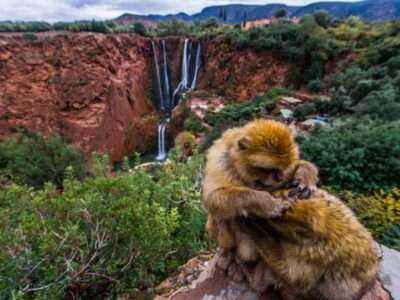 Morocco Best Sahara Tours , marrakech to ouzoud waterfalls day trip