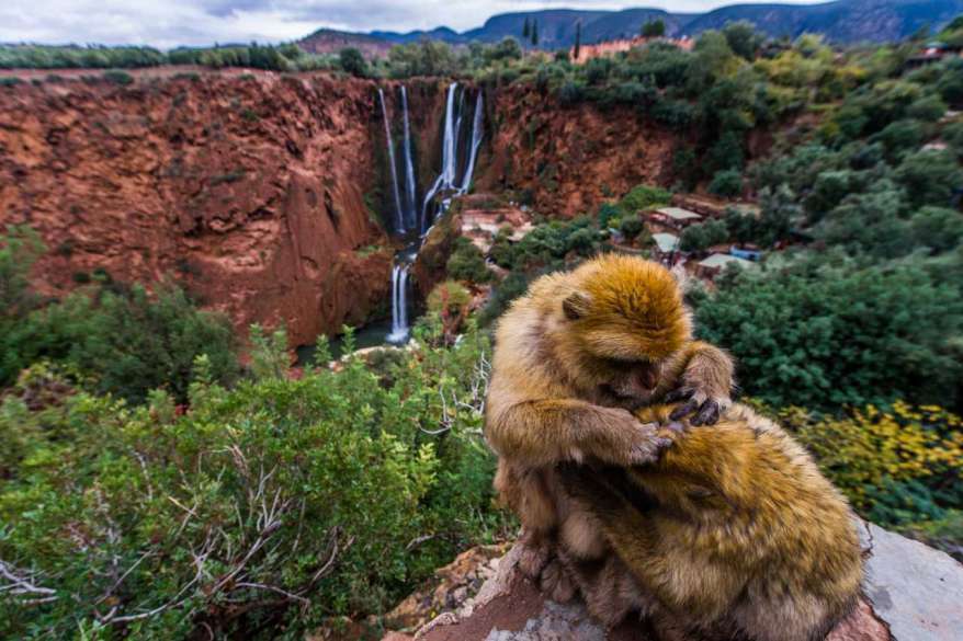 Morocco Best Sahara Tours , marrakech to ouzoud waterfalls day trip