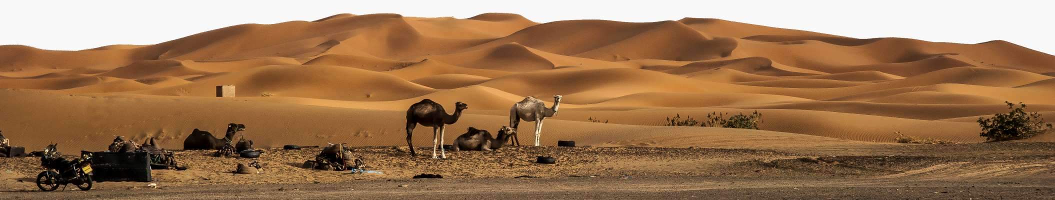 Desert, Morocco Best sahara tours