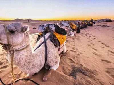 morocco best sahara tours, Sahara Desert Travel Guide