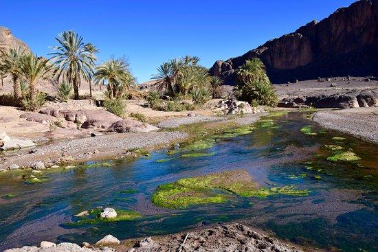 morocco best sahara tours, 10 must-see destinations on your Morocco desert tour, Fint Oasis