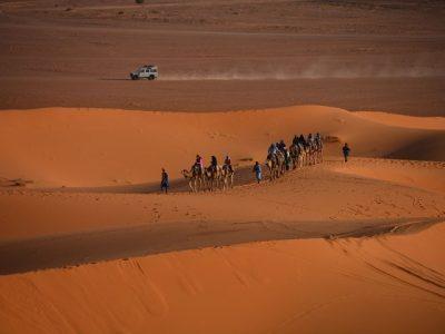 morocco best sahara tours, 10 must-see destinations on your Morocco desert tour, Zagora desert