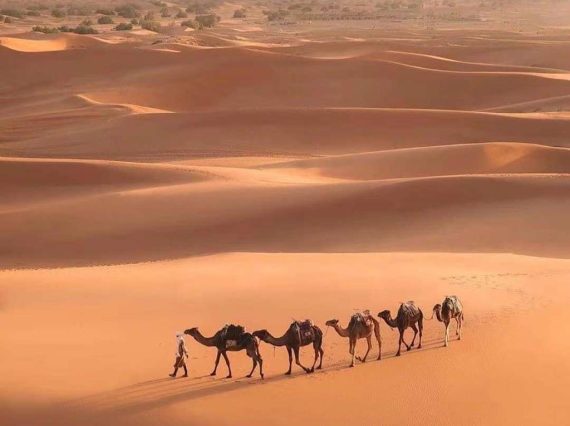 morocco best sahara tours, luxury tours