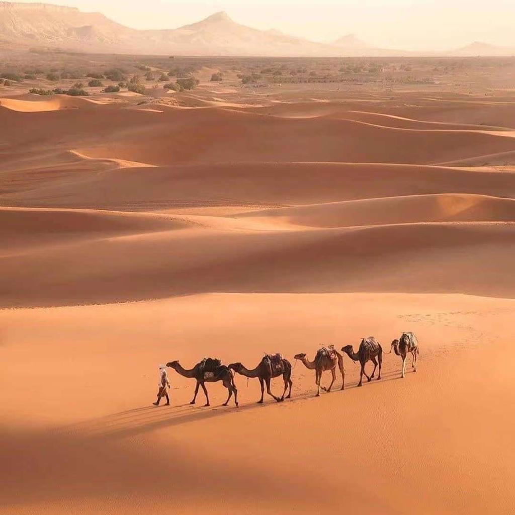 morocco best sahara tours, luxury tours